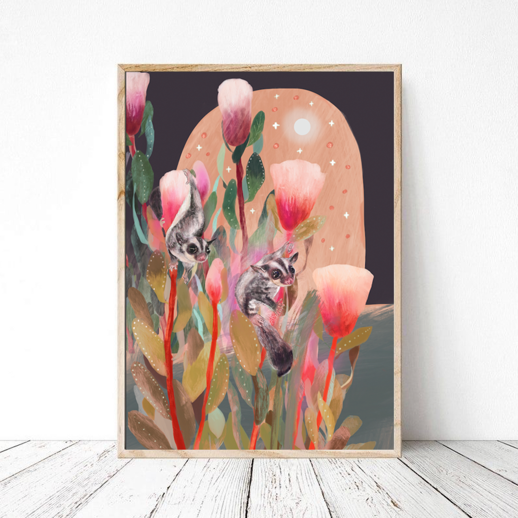 “Sugar gliders” print